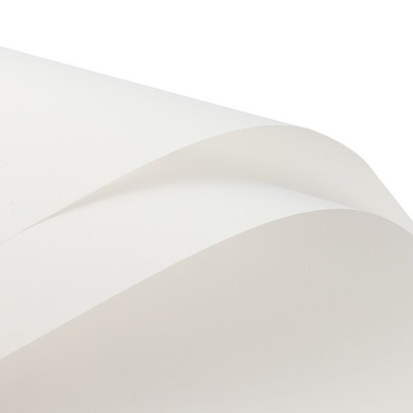 Double-Sided Floral Wrapping Paper