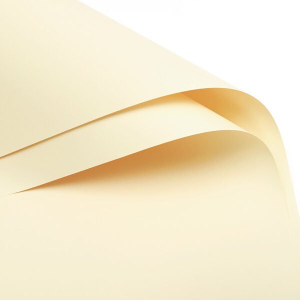 Double-Sided Floral Wrapping Paper